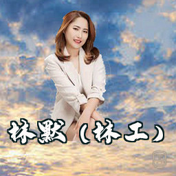 林默 (林工)